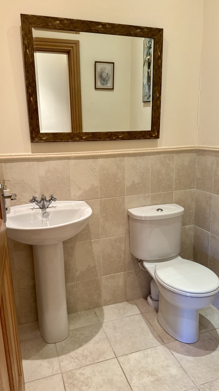 JR - Carrowntryla - Dunmore H54 E224 - 34 Large