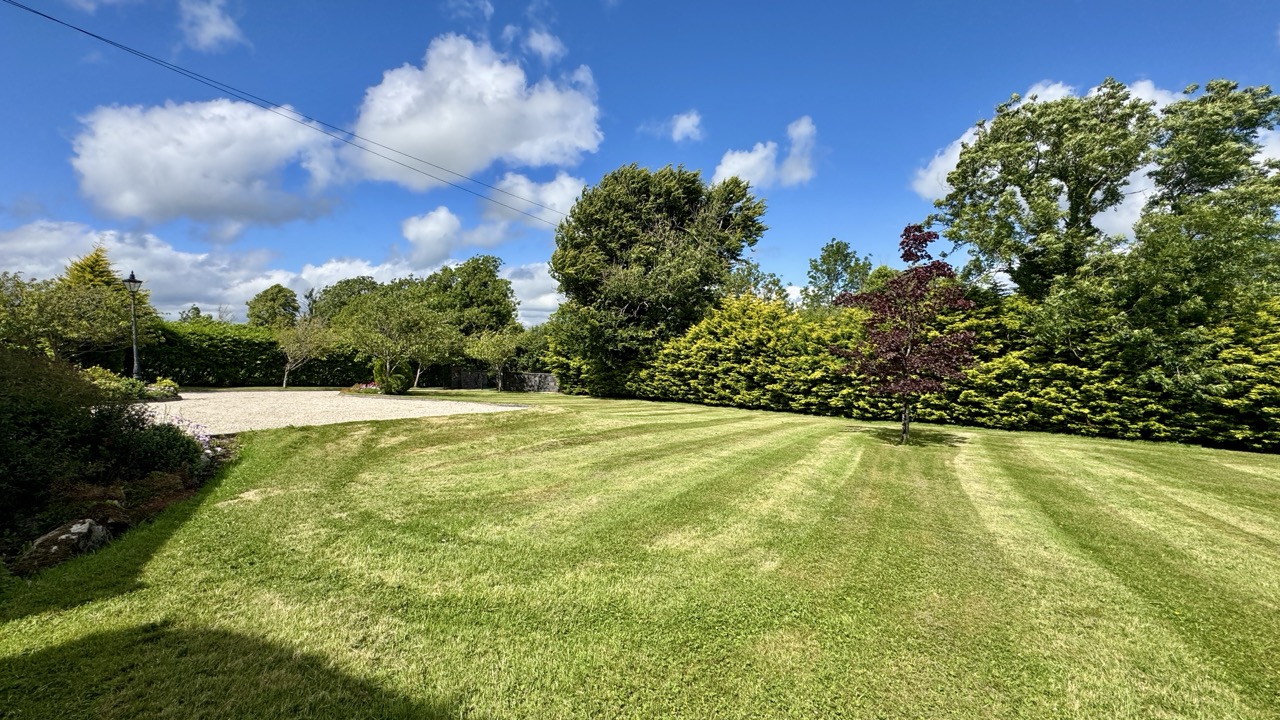 JR - Carrowntryla - Dunmore H54 E224 - 63 Large