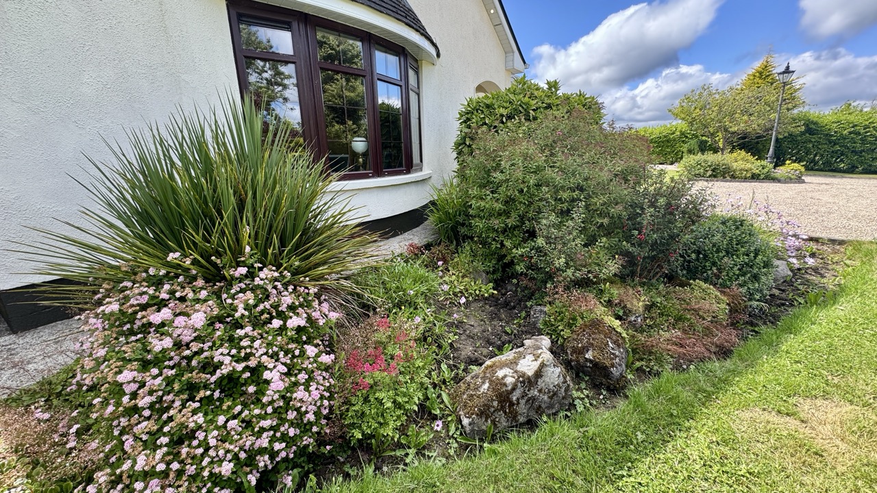 JR - Carrowntryla - Dunmore H54 E224 - 64 Large