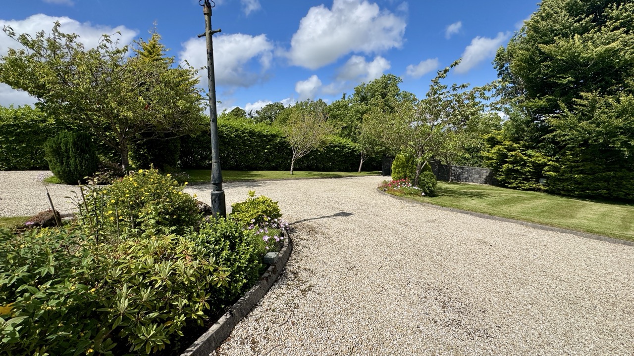 JR - Carrowntryla - Dunmore H54 E224 - 65 Large